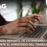 Reporte de estándares mínimos de la Resolución 0312 de 2019