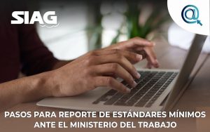 Reporte de estándares mínimos de la Resolución 0312 de 2019