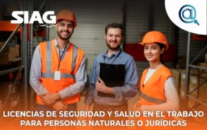 El decreto 614 de 1984 regulo por primera vez el otorgamiento de la licencia en salud ocupacional para personas naturales o razones jurídicas para prestar dichos servicios en el territorio nacional, a partir de este marco normativo el ministerio de trabajo y de seguridad social y de salud se constituye el plan nacional de salud ocupacional.